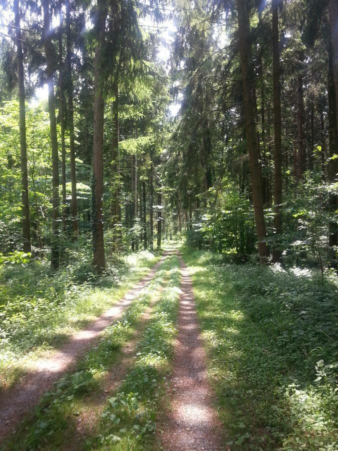 Herberge Markdorf Bagian luar foto